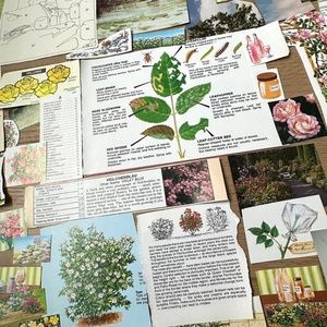 Vintage 50+ pcs Garden Art Themed Ephemera Collage Journal Kit